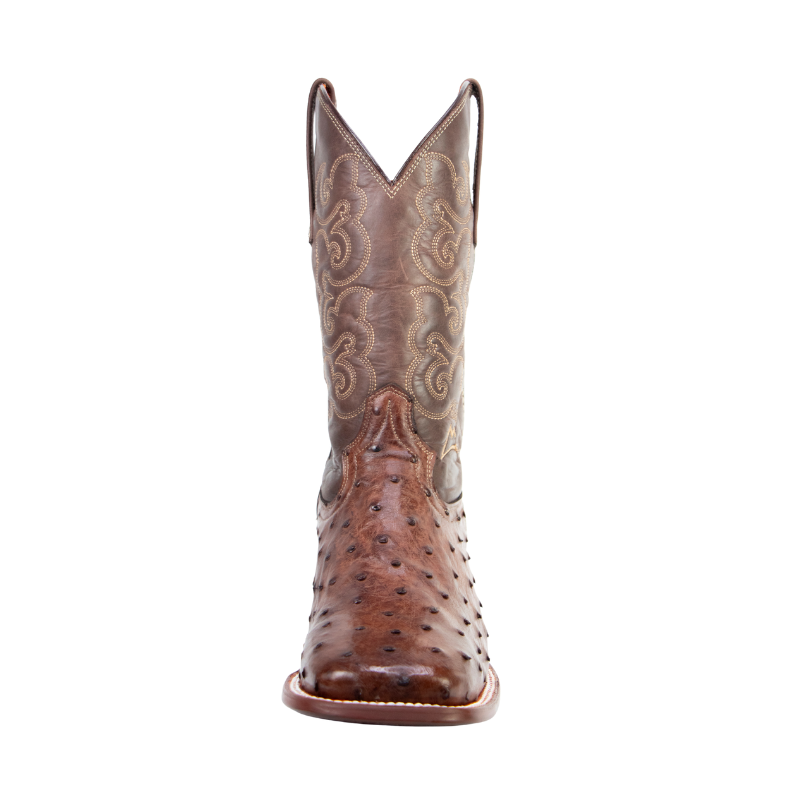 Bota Avestruz Café Bulldog