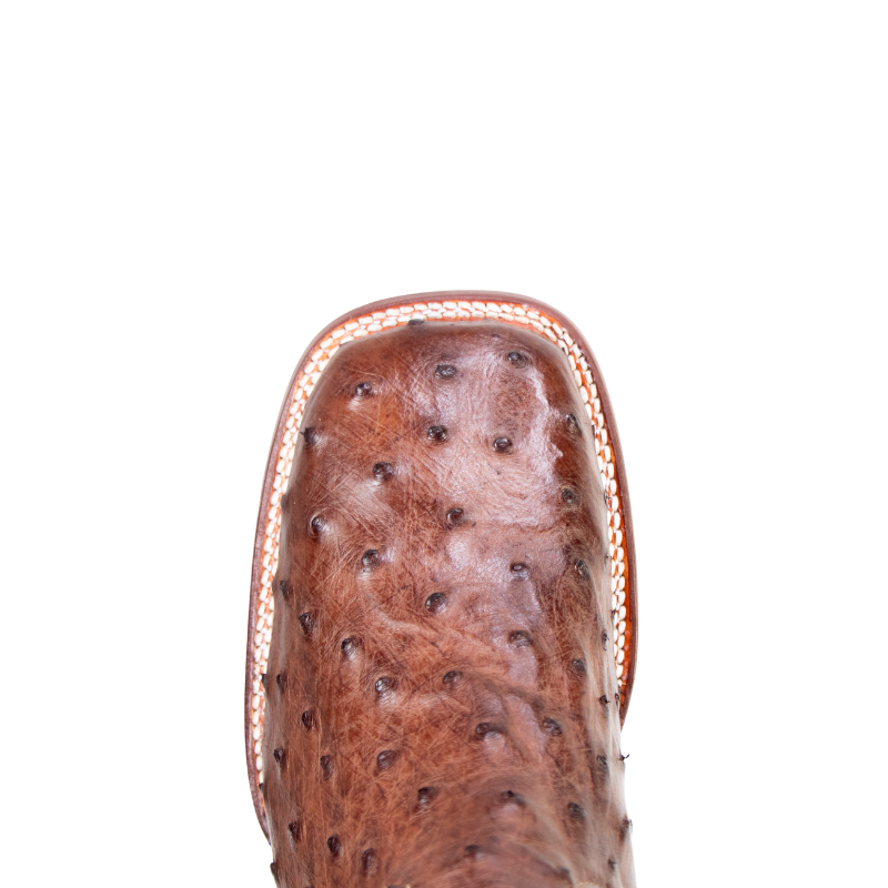 Bota Avestruz Café Bulldog